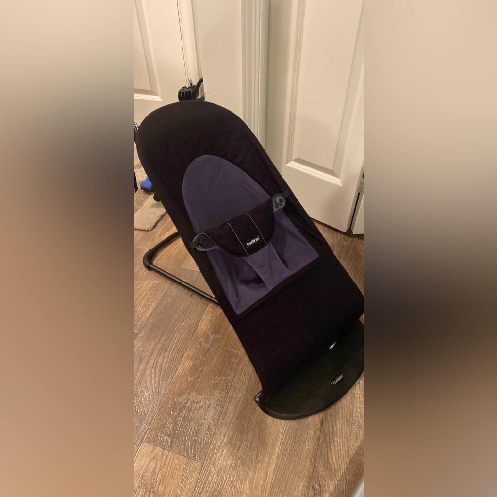 Babybjorn Bouncer Nwot